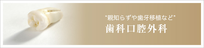 “親知らずや歯牙移植など”歯科口腔外科