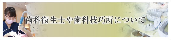 歯科衛生士や歯科技巧所について